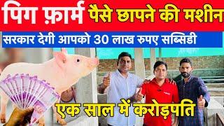 Pig Farming  पिग फ़ार्म - NLM Scheme 30 Lakh Susbidy Full Detail by Nisar Indian