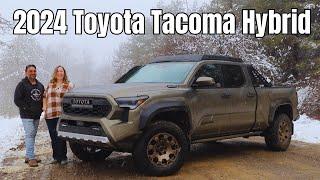 2024 Toyota Tacoma Hybrid - This or the 2024 Ford Ranger?