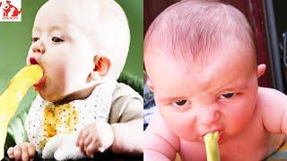 Newborn baby vomits milk on parents  - Funny Baby Vomit - Funny Pets Moments