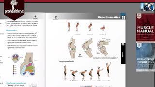 0 Intro Knee Dr  Vizniak