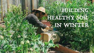 Simple ways to fertilize your vegetable garden in winter ｜Bokashi compost Winter cover crops