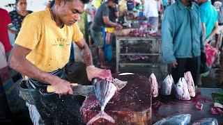 Fastest Tuna Fish Cutting Skills Sri Lanka  Amazing Fish Cutting Experts