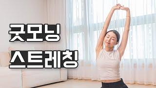 매일 아침 꼭 해야하는 15분 기상 스트레칭｜혈액순환 피로회복 신진대사 향상 Morning stretch