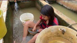 SELECIONANDO PEIXES DENTRO DA ÁGUA  CALOR DEMAIS.