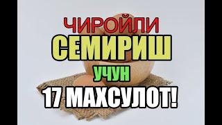 ️CHIROYLI SEMIRISH UCHUN 17 MAHSULOT - Семириш учун нима килиш керак?