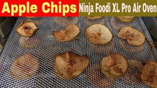 Apple Chips Dehydrated Apples Ninja Foodi XL Pro Air Fry Oven