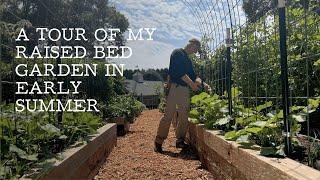 A Tour of my Raised Bed Vegetable Garden in June  Week-by-Week Insights and Tips
