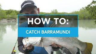 HOW TO Catch Barramundi in creeks and drains