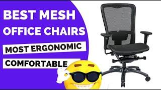 Best Mesh Office Chairs Unveiled 2020 - 2021 Edition