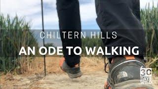 Chiltern Hills  An Ode To Walking