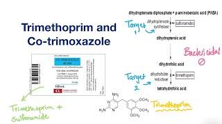 Trimethoprim and Cotrimoxazole  Infectious Disease