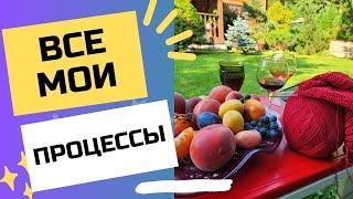 ВСЕ МОИ ПРОЦЕССЫ