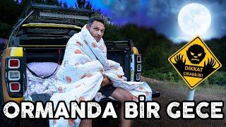 ORMANDA KORKU DOLU BİR GECE REXXİN KASASINDA