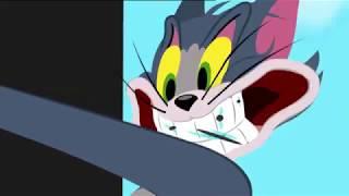 The Tom and Jerry Show  Takeoff  WB Animation