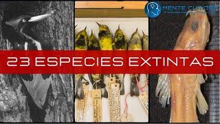  ¡MÁS DE 20 ESPECIES EXTINTAS