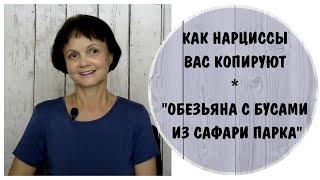 Как нарциссы вас копируют. Обезьяна с бусами из сафари парка