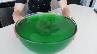 1 Gallon Jell-o Challenge Lime