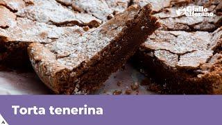 MOIST CHOCOLATE CAKE Torta Tenerina easy Italian recipe