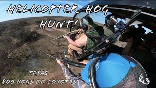 Helicopter HOG HUNT  800 Hogs 22 Coyotes In 4 Days  Texas Highlights