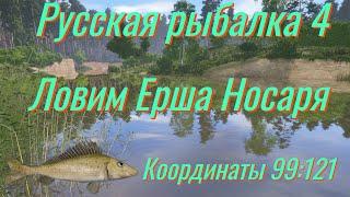 Русская рыбалка 4 • Вьюнок трофейный Ёрш-Носарь • Фарм