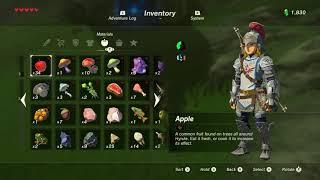 botw 23