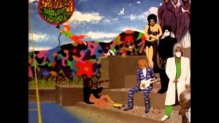 Prince and The Revolution - Paisley Park