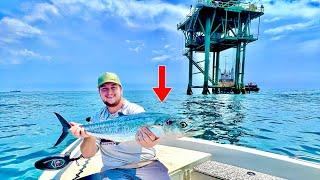 TROLLING BIG LURES In the GULF of MEXICO for AGGRESSIVE FISH Catch Clean Cook