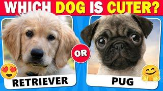 Choose the CUTEST Dog  Which Dog is Cuter? 