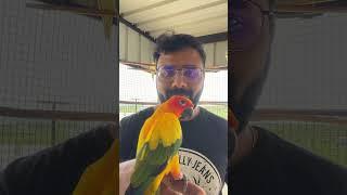 எதுக்கு Cageல Birds அடைச்சு கொடுமை பண்றிங்க⁉️