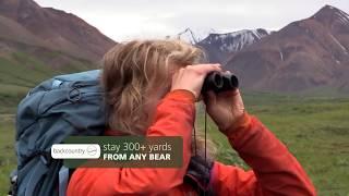Animal Safety and Behavior  Denali National Park Alaska