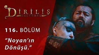 Diriliş Ertuğrul 116. Bölüm - Noyan’ın dönüşü