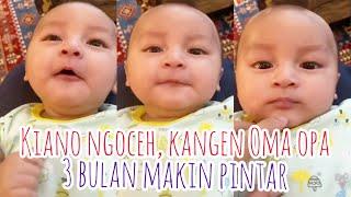 Ngoceh Kangen OMA OPA VERHOEVEN Baby Kiano Tiger Wong Usia 3Bulan Makin Pintar