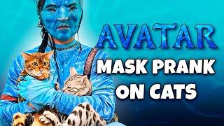Hilarious Avatar Mask Prank on Cats - Bengal Cats Reaction