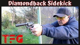 Diamondback Sidekick Range Review - TheFirearmGuy