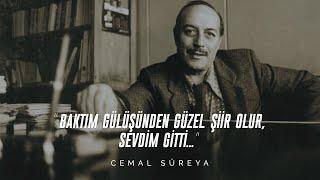 Cemal Süreya - I Looked A Beautiful Poem From Your Smile I Loved It and Its Gone