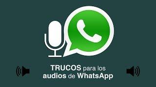 Trucos para escuchar y leer los audios de WhatsApp