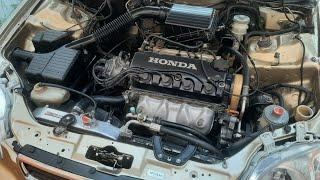 Honda Civic Lxi Engine Wash Detailing #viral #engine #wash #detailing #civic #honda #vt