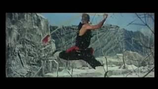 The Shaolin Temple - Jet Li training scene