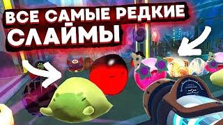 Slime Rancher. ЧЕЛЛЕНДЖ САМЫЕ РЕДКИЕ СЛАЙМЫ В ОДНОМ ЗАГОНЕ