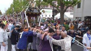 第４２回かわさき市民祭り・神輿パレード_1の1各会巡行 20191103