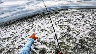 This Gully Was Full of Fish Surf Fishing