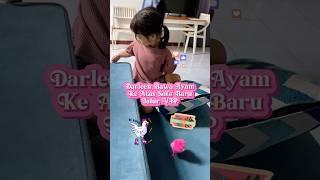 DARLEEN BAWA AYAM WARNA WARNI NAIK ATAS SOFA#viralvideo#shortviral#shortvideo#trend#viral#short