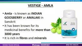 vestige amla uses