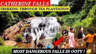 Best waterfalls in Ooty  Catherine falls  Places to visit in ooty  Ooty trip plan  ooty places