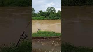 what anglers miss #foryou #strike #shortvideo #mancing #fypシ゚viral #fishing #fishingvideo