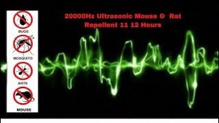 Ultrasonic Mouse and Rat Repellent 12 Hours  20000Hz  No ads