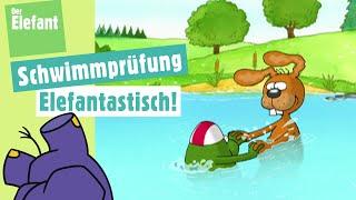 Nulli und Priesemut gehen im See schwimmen & Ratefilm Waschtag Elefant  Der Elefant  WDR