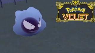 Shiny Gastly in Violet