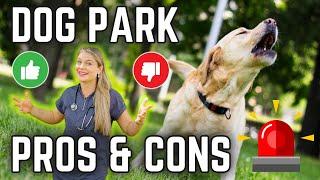 Dog Park Pros & Cons?  Vets Opinion + MUST WATCH