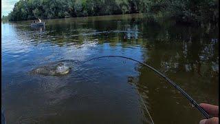 ТАКУЮ РЫБАЛКУ ЖДАЛИ НЕСКОЛЬКО ЛЕТ Рыбалка мечты на спаде высокой воды 1 серия.